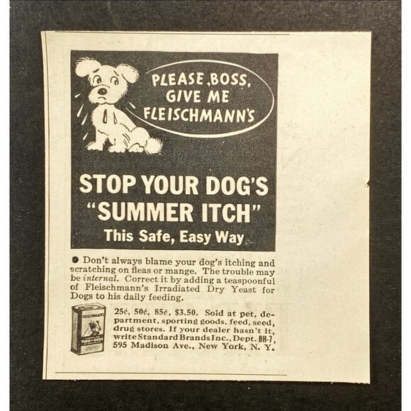 Fleischmann's Dry Yeast Treatment *Stop Your Dog's Summer Itch Vtg Print Ad 1936 - Picture 3 of 3